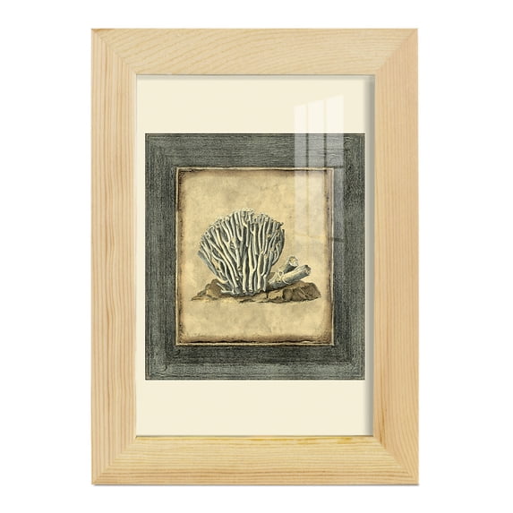 Mini Exotic Coral IX (U) - Framed Print w/glass - Natural Wood