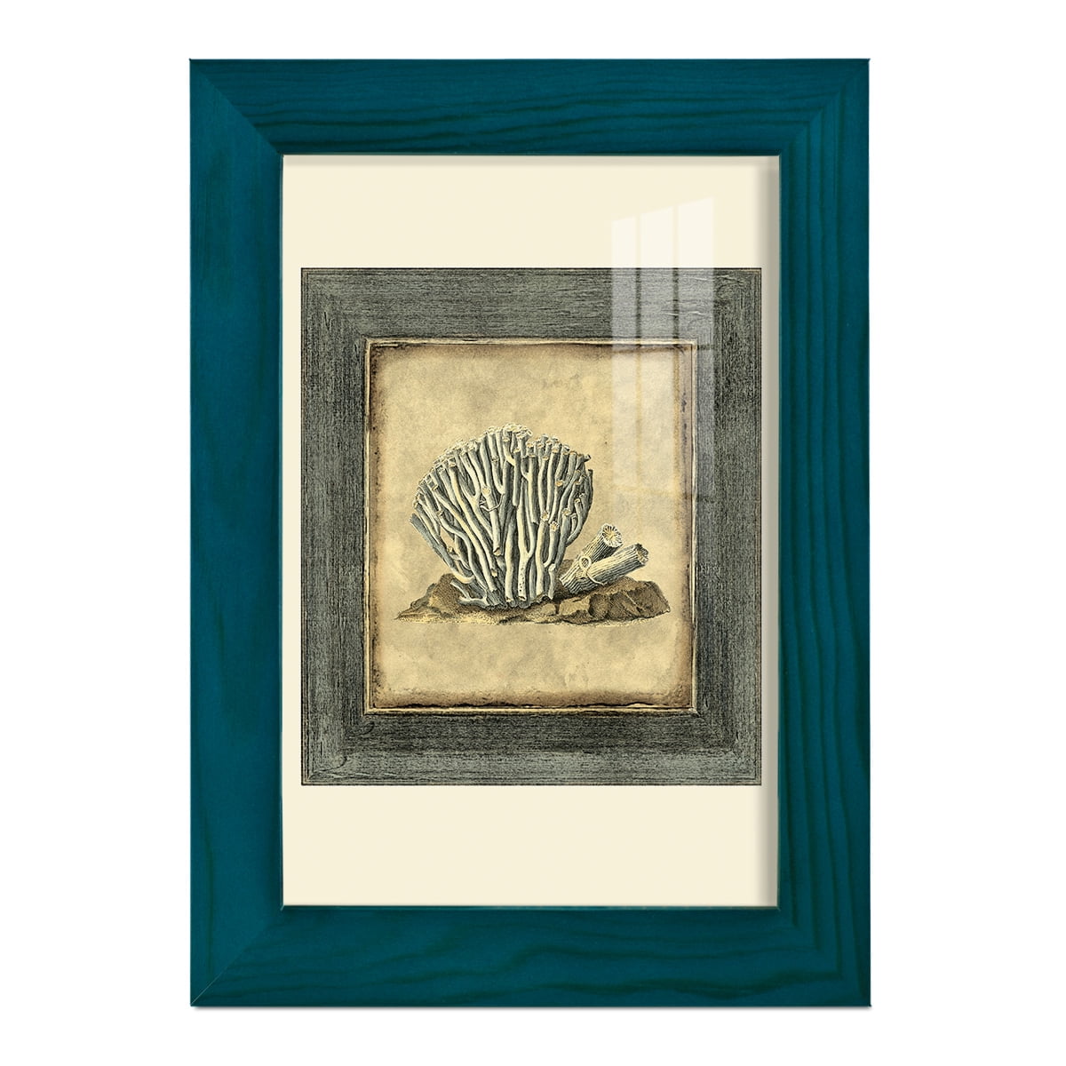 Mini Exotic Coral IX (U) - Framed Print w/glass - Ocean Blue