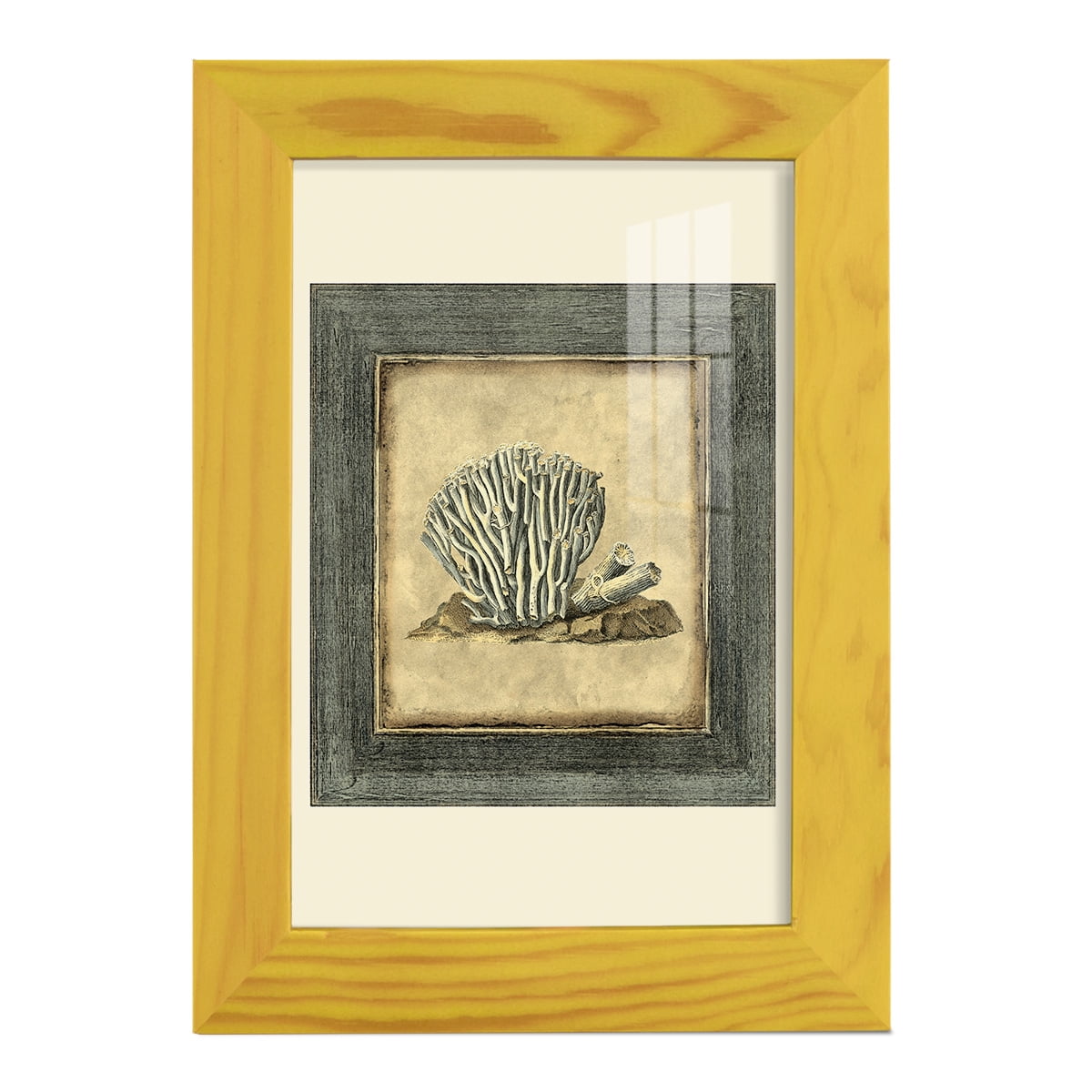 Mini Exotic Coral IX (U) - Framed Print w/glass - Sunflower Yellow