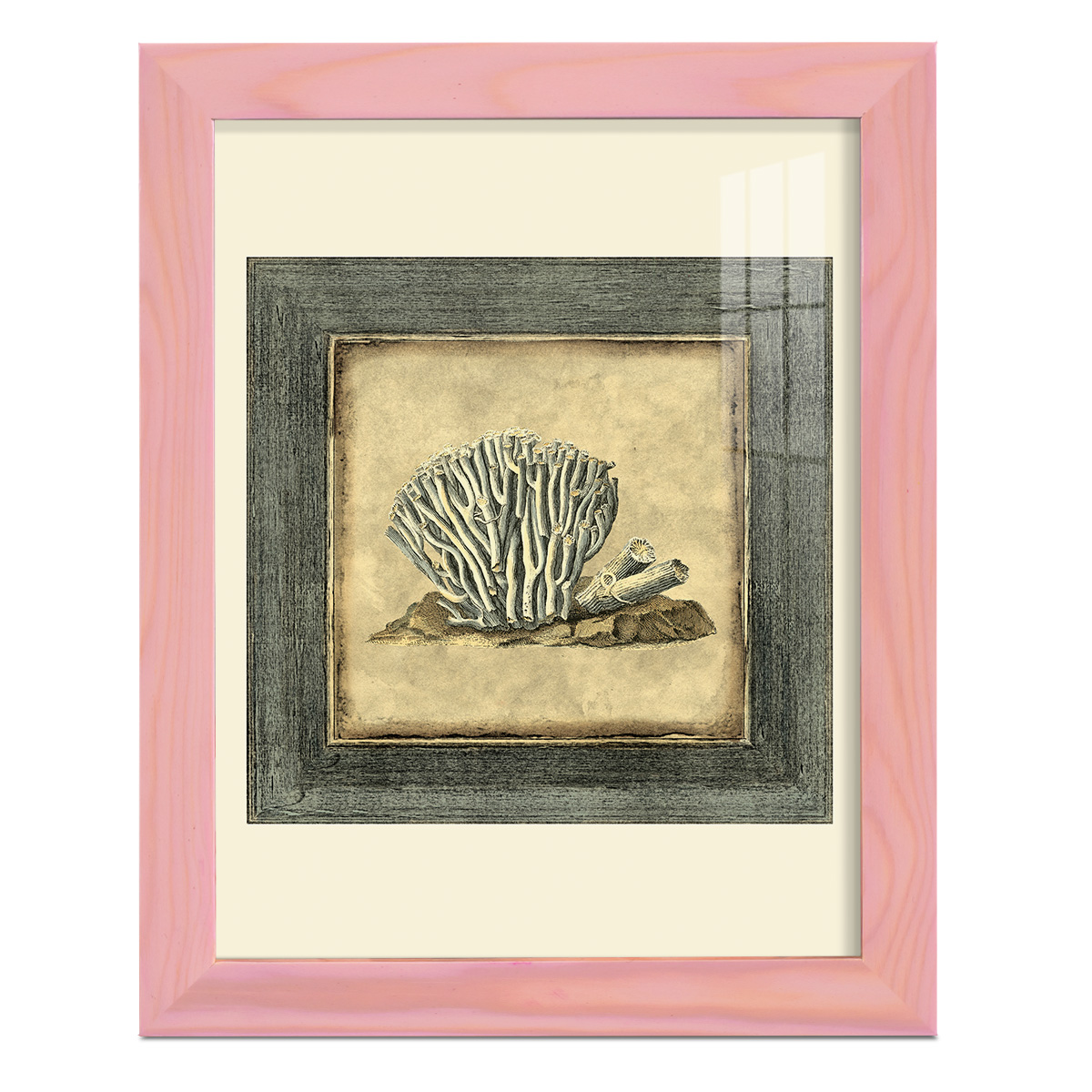 Mini Exotic Coral IX (U) - Framed Print w/glass - Sunset Pink