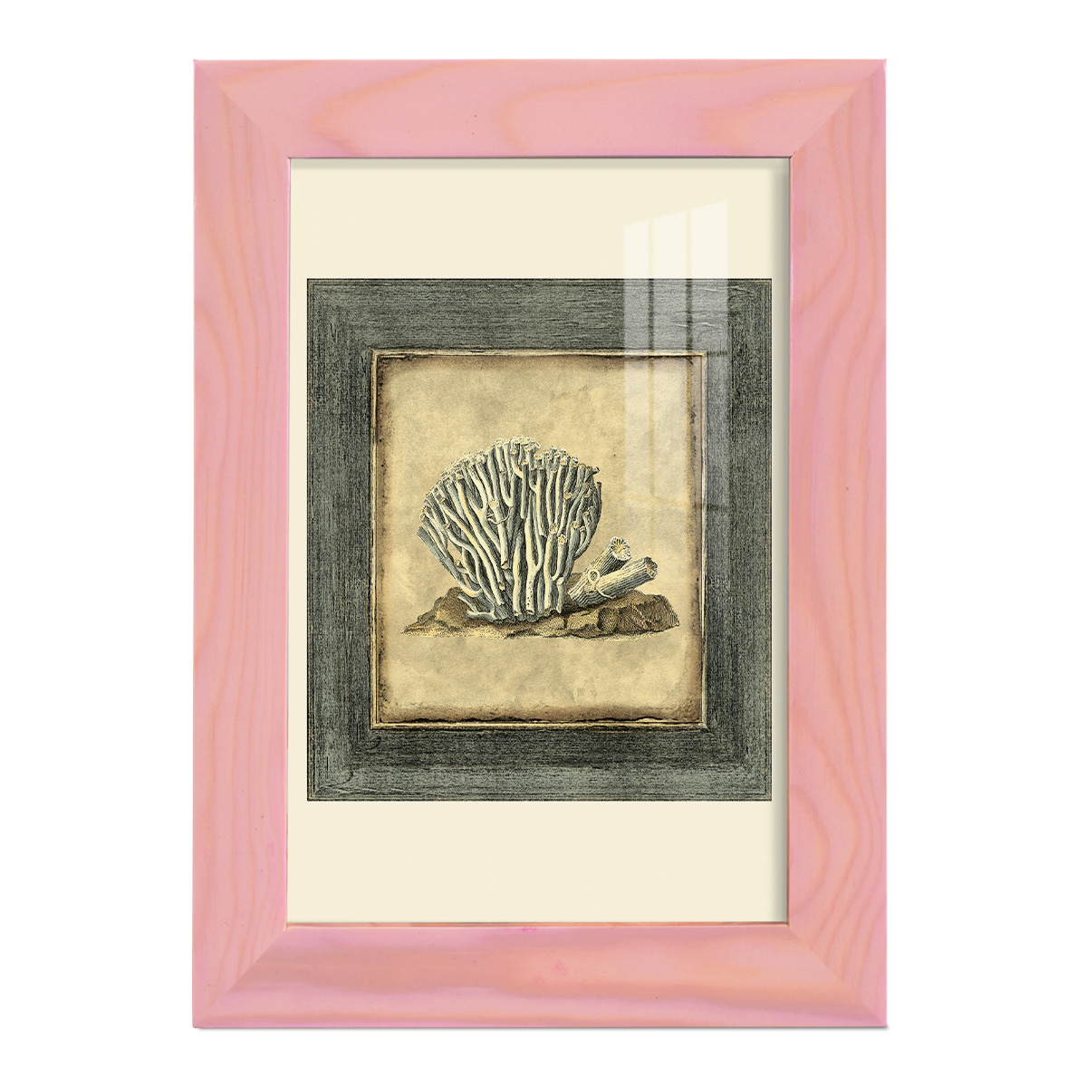Mini Exotic Coral IX (U) - Framed Print w/glass - Sunset Pink
