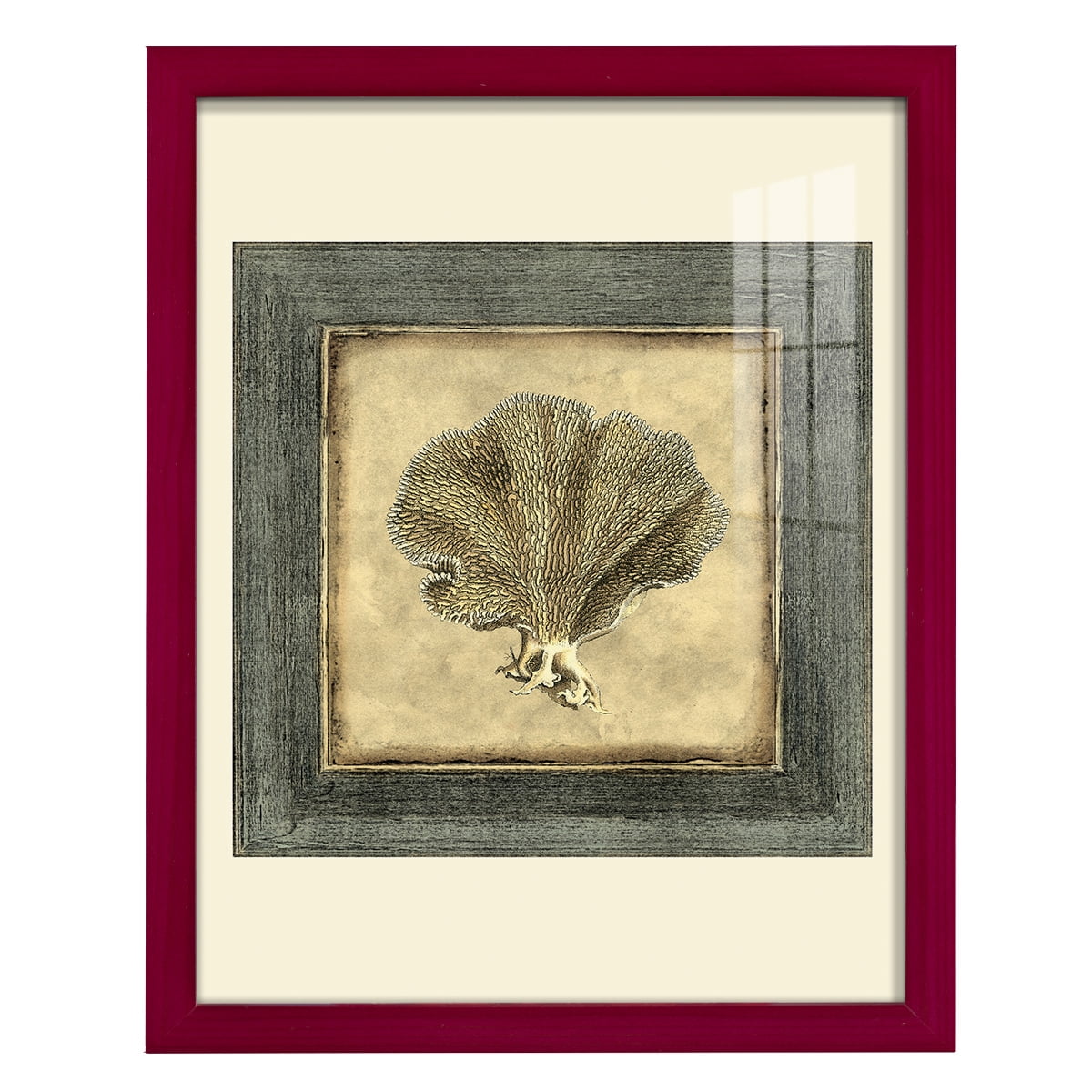Mini Exotic Coral VI (U) - Framed Print w/glass - Cherry Red