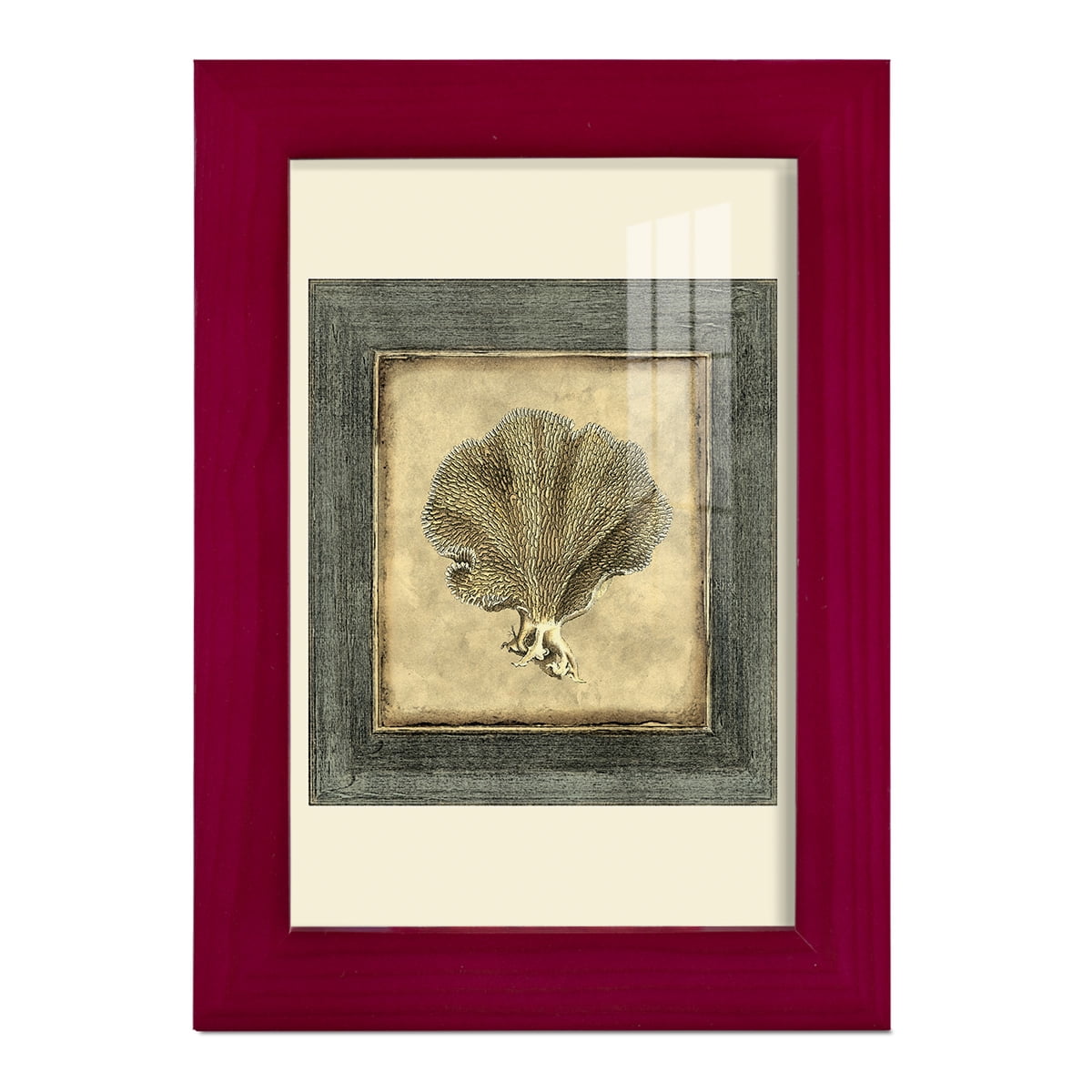 Mini Exotic Coral VI (U) - Framed Print w/glass - Cherry Red