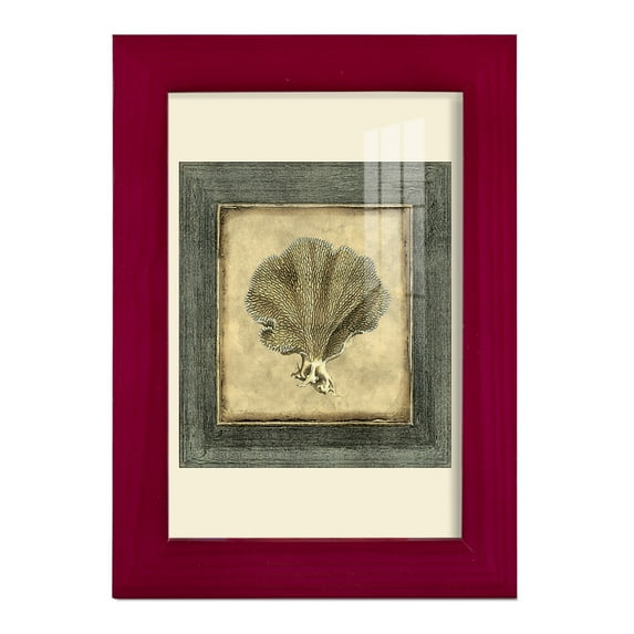 Mini Exotic Coral VI (U) - Framed Print w/glass - Cherry Red