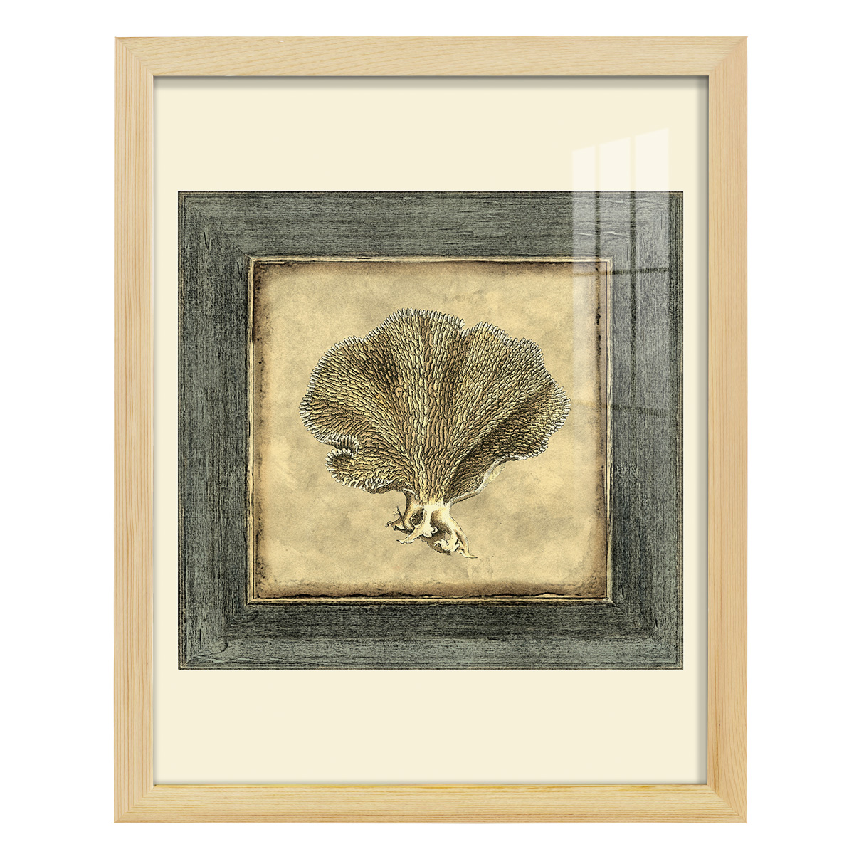 Mini Exotic Coral VI (U) - Framed Print w/glass - Natural Wood