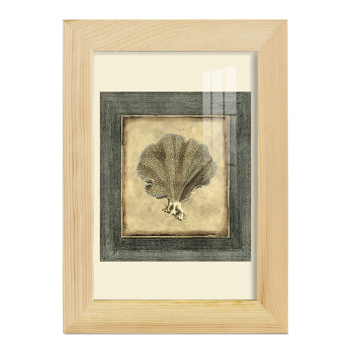 Mini Exotic Coral VI (U) - Framed Print w/glass - Natural Wood
