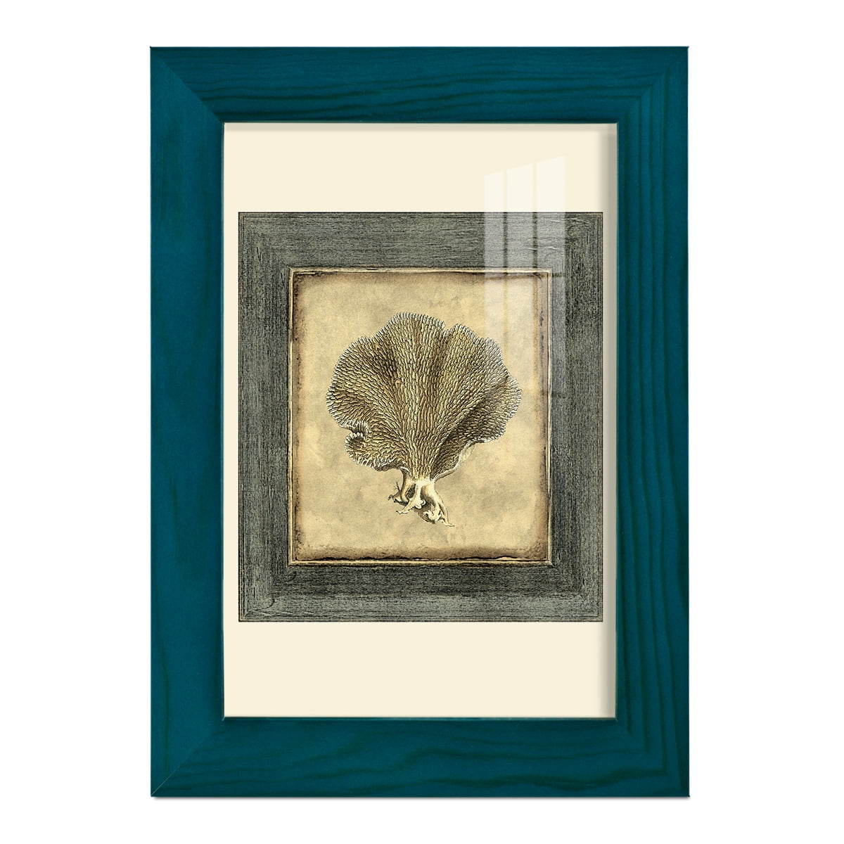 Mini Exotic Coral VI (U) - Framed Print w/glass - Ocean Blue