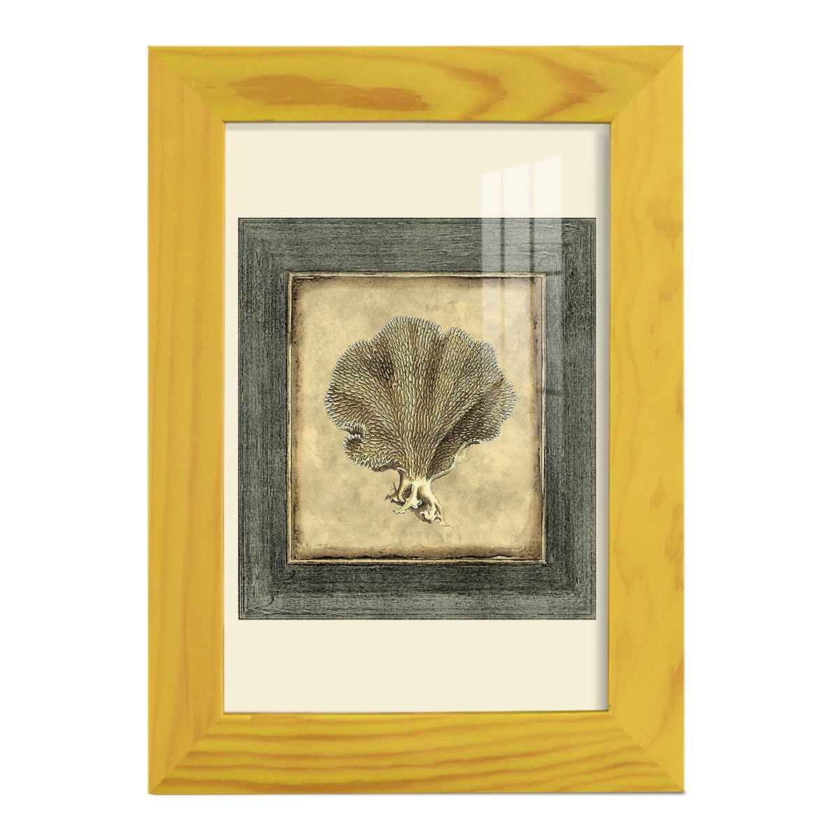 Mini Exotic Coral VI (U) - Framed Print w/glass - Sunflower Yellow