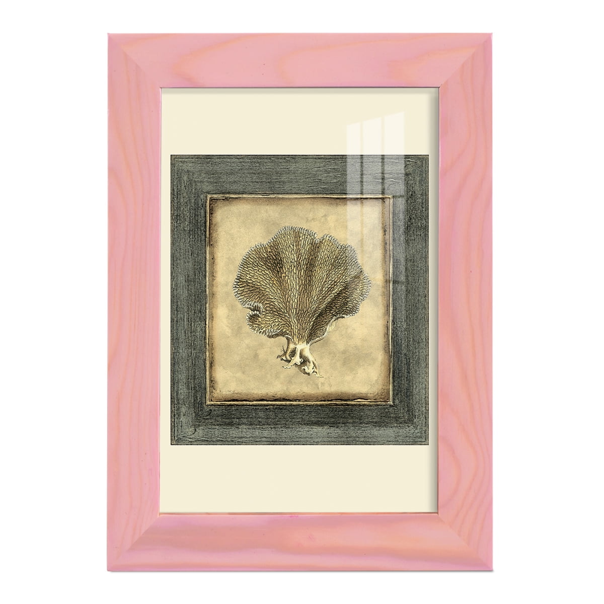 Mini Exotic Coral VI (U) - Framed Print w/glass - Sunset Pink