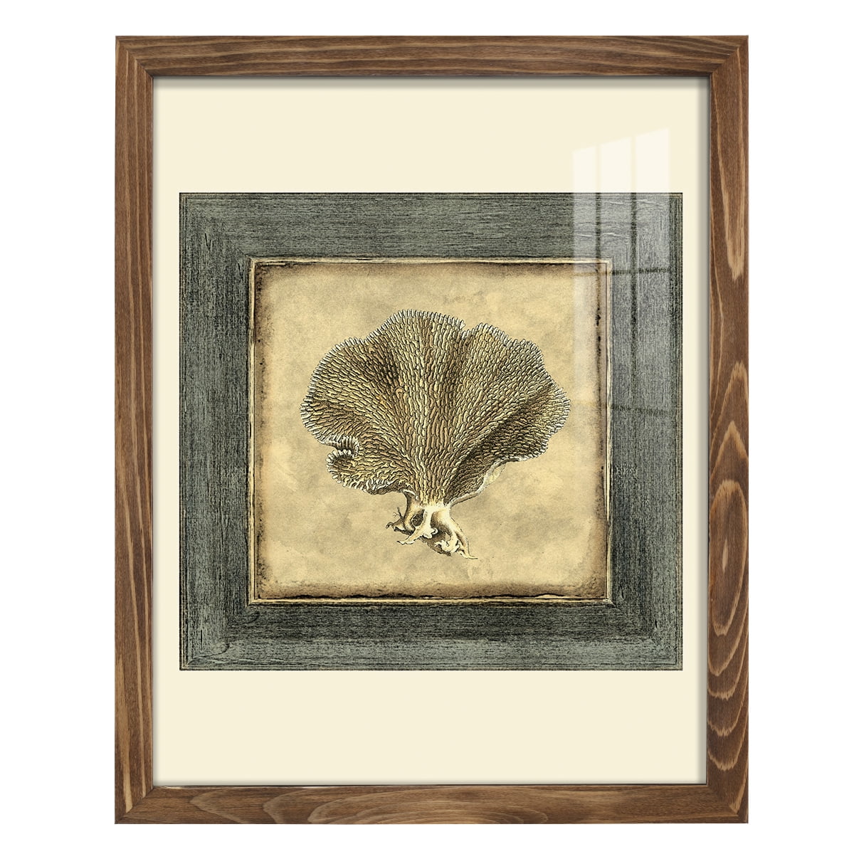 Mini Exotic Coral VI (U) - Framed Print w/glass - Walnut