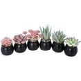 thumbnail image 1 of Mini Fake Succulent Plants Artificial Plastic Succulents Potted Faux Assorted Plants for Home Office Table Decoration, Set of 6 (White Plastic Pots), 1 of 5