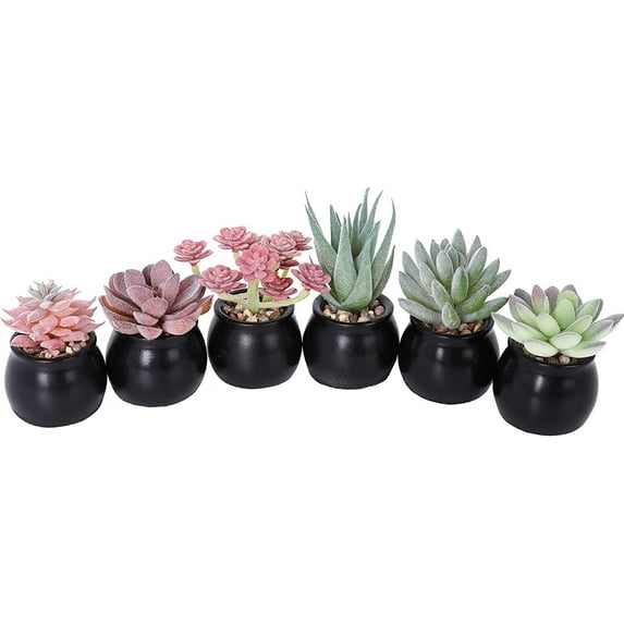 Mini Fake Succulent Plants Artificial Plastic Succulents Potted Faux Assorted Plants for Home Office Table Decoration, Set of 6 (White Plastic Pots)