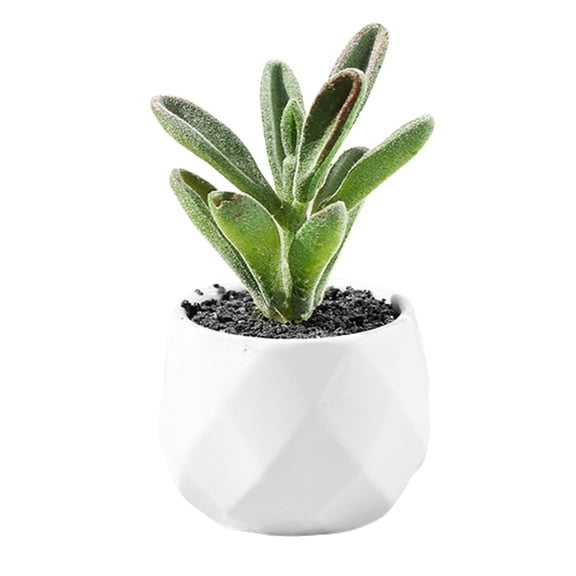 Mini Fake White Ceramic Potted Succulents Artificial Plants - Faux Succulents Plants for Home , Office Shelf Decorations Artificial Multilayer Succulent Plant Bonsai for Home