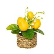 Mini Faux Lemon, Table Lemon Centerpiece, Indoor Green Decor, Artificial Plant for Kitchen, Fake Lemon Bonsai, Kitchen Counter Decor, Home Table Lemon, Mini Artificial Greenery