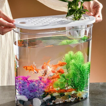 Mini Fish Tank Aquaponic Fish Tank Fish Breeding Box Small Desktop Aquarium Hydroponics