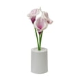 thumbnail image 1 of Mini Flower Pot Night Light Desk Lamp for Bedroom, Home Decor, Romantic Atmospheres, Battery Operated, Gift Idea, 1 of 5