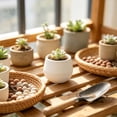 thumbnail image 1 of Mini Flower Pot, Small Round Plastic Planter Ribbed Nursery Pot Decorative Succulent Container, Cactus Herb Bonsai Desktop Planter for Home Office Windowsill Garden Decoration, 1 of 6