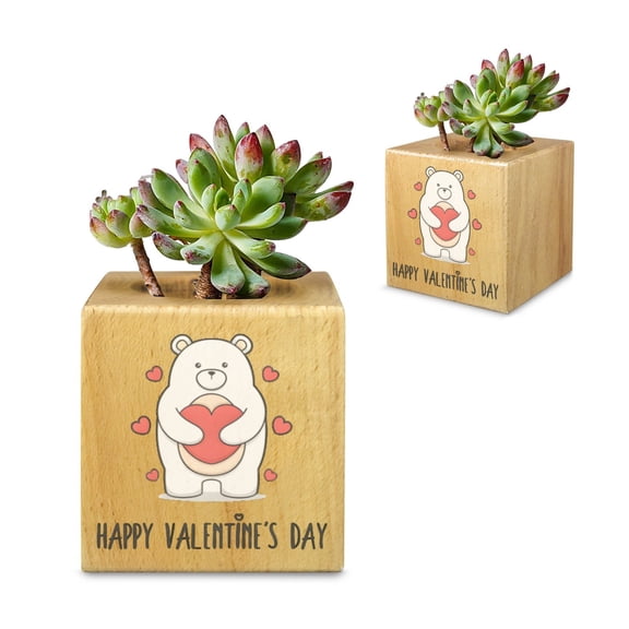 Mini Flower Pot, Valentines Indoor Wooden Desk Planter Bear