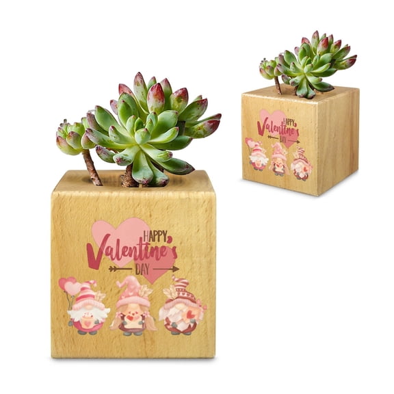 Mini Flower Pot, Valentines Indoor Wooden Desk Planter Gnomes