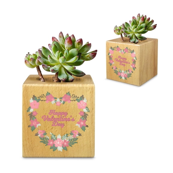 Mini Flower Pot, Valentines Indoor Wooden Desk Planter Heart Wreath