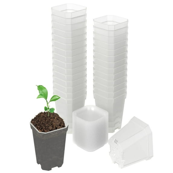 Mini Flower Seedling Nursery Pot with Pallet, 3" Square Plant Pot, Indoor Outdoor Plastic Flower Plant Container for Room, Garden, Office and Balcony(10Pcs,Clear)