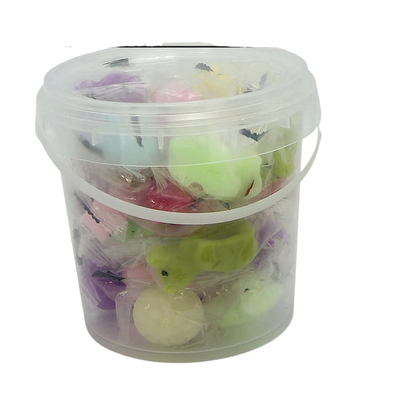 Mini Food Mochi Squishies, 24 Piece Fidget Toys with Storage Container, Children Ages 3+