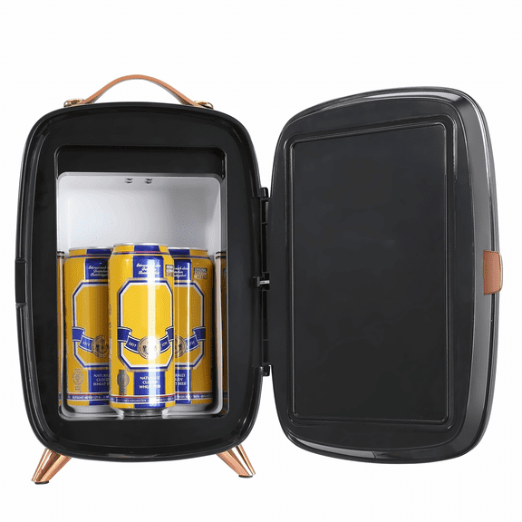 Mini Fridge 6L, Skincare Refrigerator with Mirror & LED Light, Cosmetic Fridge for Bedroom, Dorm, Drink & Face Mask, AC/DC Powered, Black