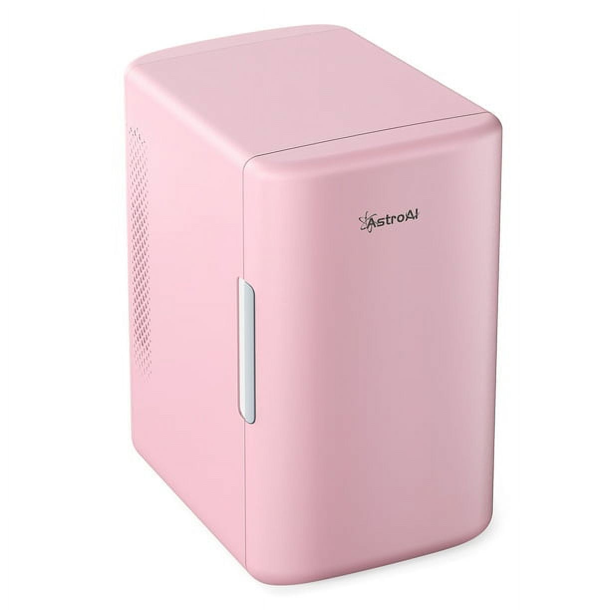 Mini Portable Fridge 6L, 8 Can Compact Refrigerator, Personal Cooler One Door, for Car, Home, Black for Gift