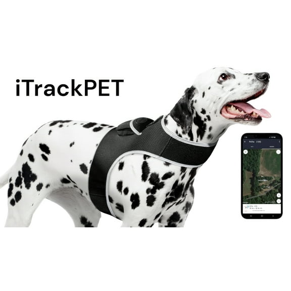 Pet Tracker Portable Waterproof Best Pet Tracker w/ Rechargeable Battery Size:XXL