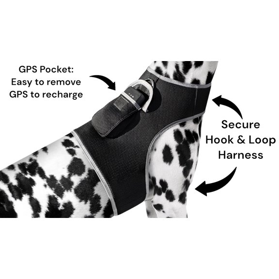 Mini GSM GPS Dog Tracking Systems with Alarm for Pet Wireless Security Size:XXL