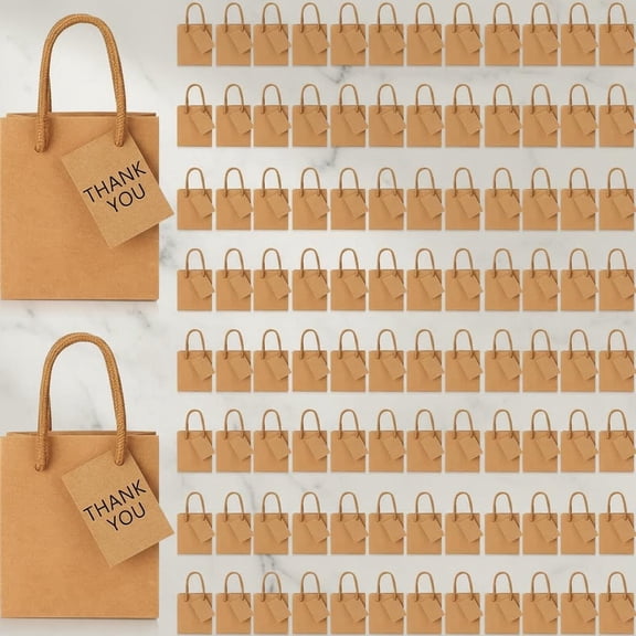 Mini Gift Bags Bulk, Paper Bag with Tag, Paper Gift Boxes with Handles for Birthday, Valentines Party Favor, Wedding, Small Business, Spring(Brown)