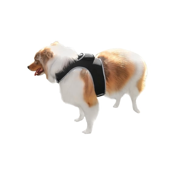 Mini Global Pet Finder GPS Pet Tracker Rechargeable w/ Movement Sensor Size:M