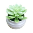 thumbnail image 1 of Mini Green Plant, Ongmies Green Artificial  In Plastic Pots Decor Aesthetics Home Decor Faux Plant Halloween for Women, Plastic Succulent Plant, 1 of 9