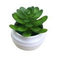 thumbnail image 1 of Mini Green Plant, Ongmies Green Artificial  In Plastic Pots Decor Aesthetics Home Decor Faux Plant Halloween for Women, Plastic Succulent Plant, 1 of 9