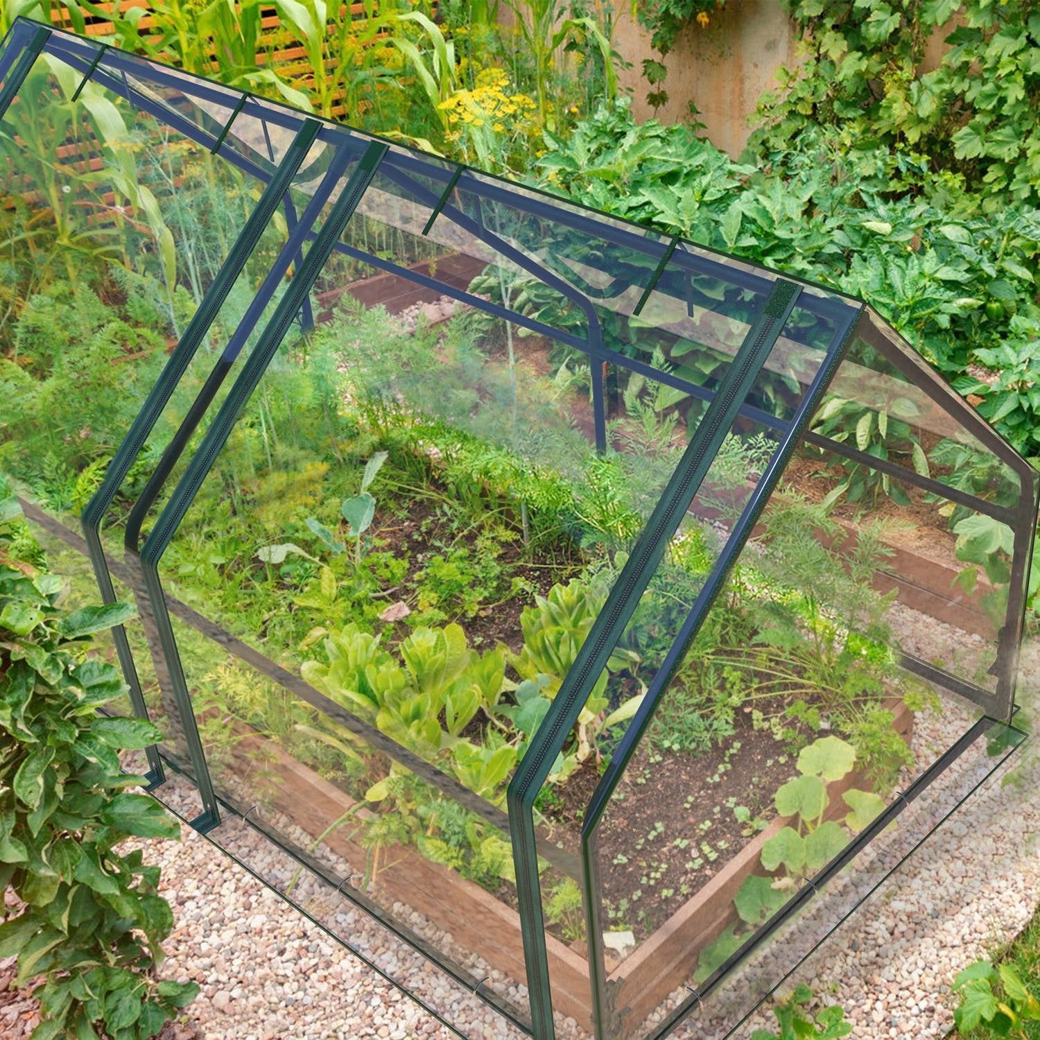 Mini Greenhouse for Indoor Outdoor Large Portable Green House with Waterproof UV-Resistant PVC Cover for Small Plants Nursery Germination