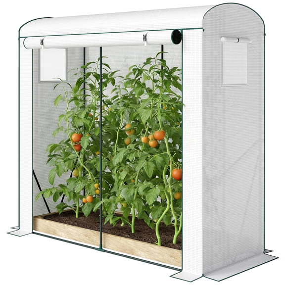 Mini Greenhouse, Portable Greenhouse with Roll-Up Door and 2 Mesh Windows, PE Cover, 78.7" x 29.5" x 74", White