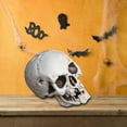 thumbnail image 1 of Mini Halloween Simulation Skeleton Head Model, Realistic Horror Skull Props for Halloween Party Decoration, Table Decor 9.05x7.87Inch White, 1 of 5