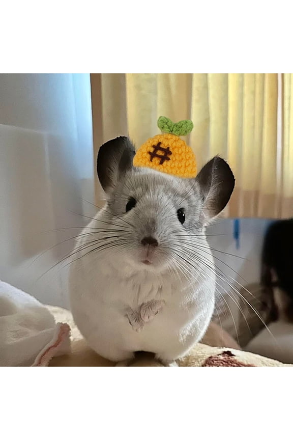 Mini Hamster Hat Cute Fruit Themed Crochet Small Pet Hat Adjustable Soft Knit Headwear with Pineapple Strawberries Carrots Design for ChinchillaGuinea Pig Photo Props and Daily Dress-Up