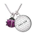 thumbnail image 1 of Mini Hot Purple Ladybug - Bible Verse John 3:16 Glass Dome Necklace, 1 of 1
