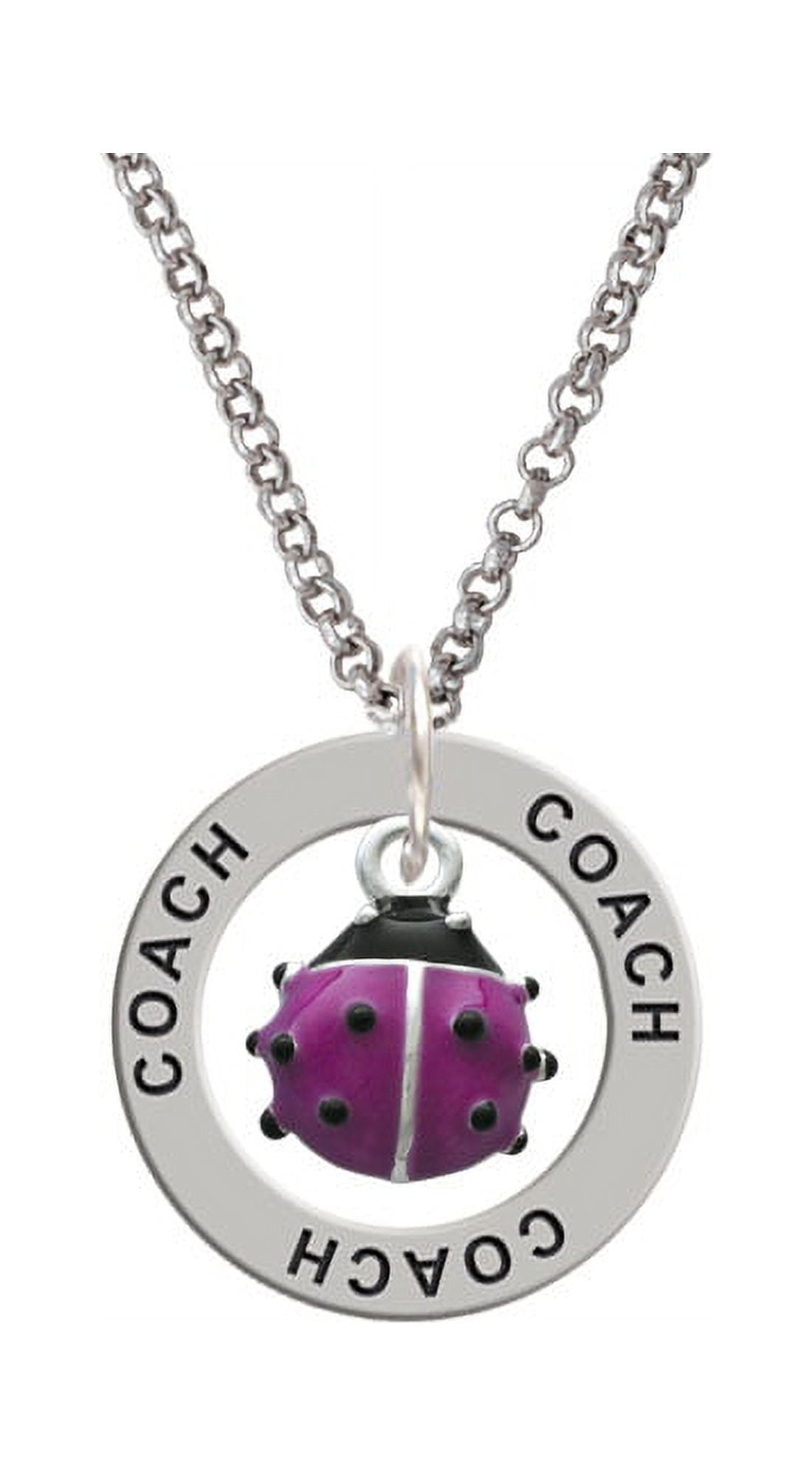  PURPLE LADYBUG Photo Charm Resin Starter Kit - Teenage