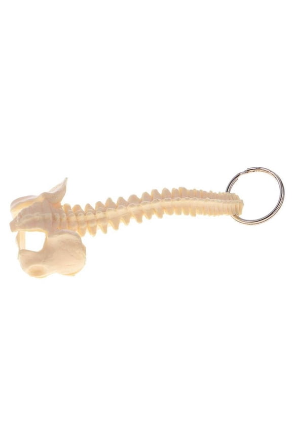 Mini Human Spine Skeleton Model Key Ring School Learning Tools Lab Supplies