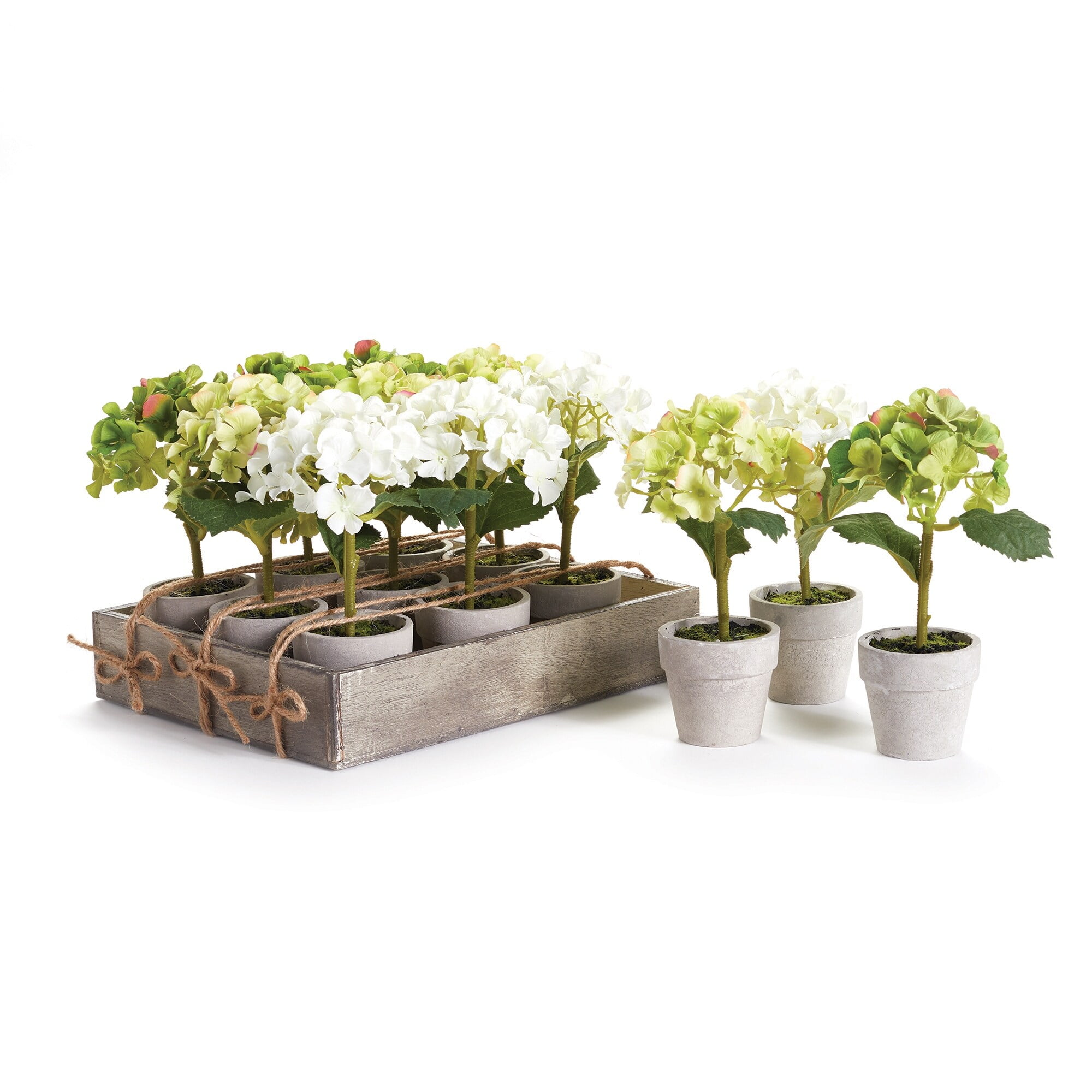 Mini White and Green Hydrangea 7" Potted Set with Lights
