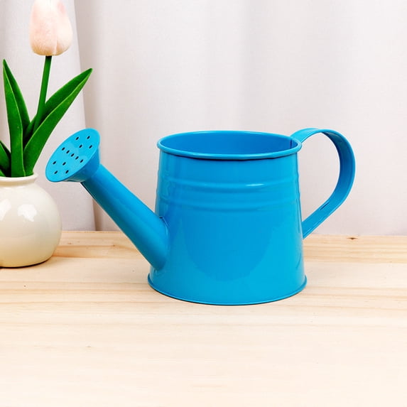 Mini Indoor Watering Can with Handle – Compact Plant Watering Tool for Home Garden & Balcony, Gentle Spout, Lightweight & Easy to Use
