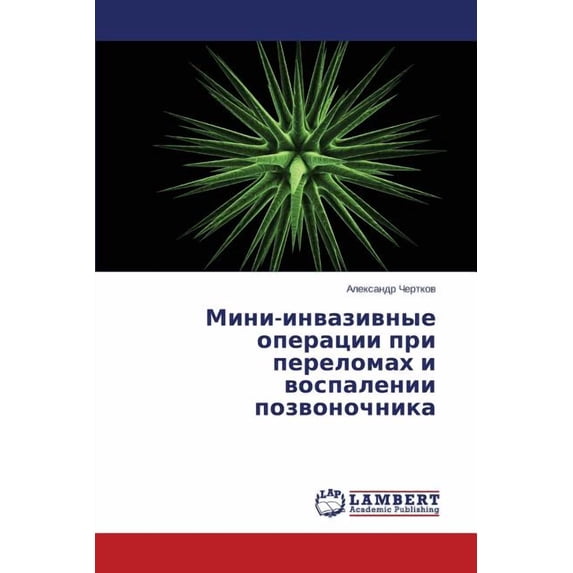 Mini-Invazivnye Operatsii Pri Perelomakh I Vospalenii Pozvonochnika (Paperback)