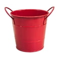 thumbnail image 1 of Mini Iron Storage Bucket Double Handle Desktop Organizer Flower Pot for Daily Use, 1 of 6