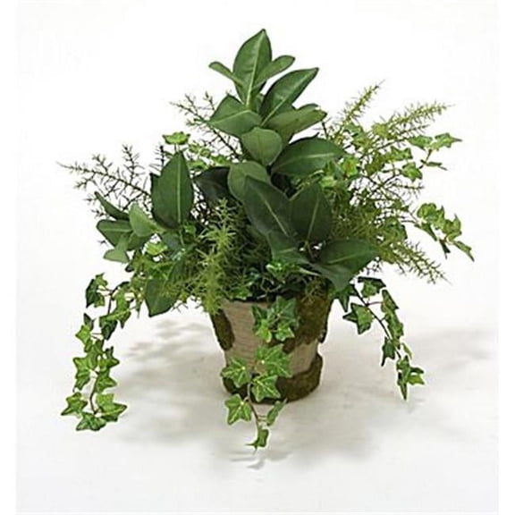 Mini Ivory, Fern & Orange Foliage in Mossed Pot