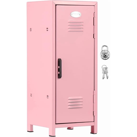 Mini Kids Locker for Girls Boys Desk Small Metal Locker Organizer