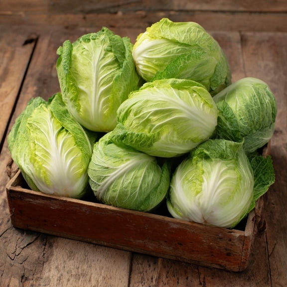 Mini Kisaku Napa Cabbage 50 Seeds Compact Chinese Cabbage for Containers
