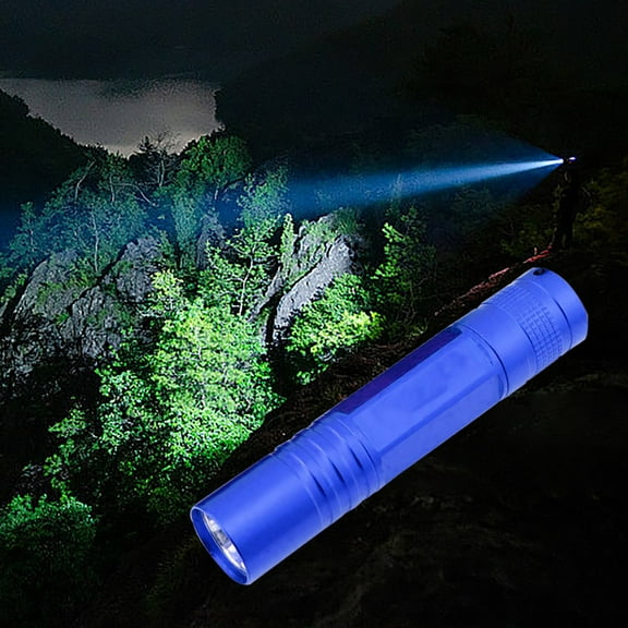 Mini LED Flashlight Pocket-Sized Portable Aluminum Alloy Light for Camping Hiking Emergency and Household Use