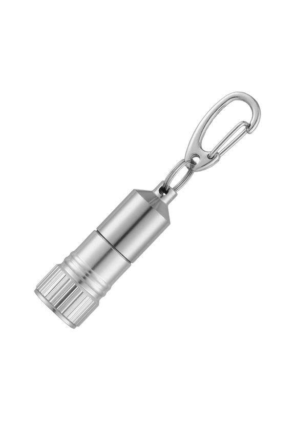 Mini LED Keychain Flashlight, 10 Lumens Small Portable Flashlight with C Ring, Stainless Steel Keyring Light for Kids Adults Party Daily Use(Silver)